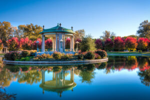 Happy Birthday, Forest Park