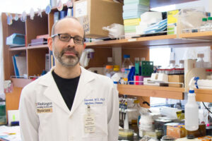Diamond named Gasser Professor of Medicine