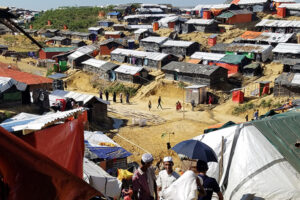 Dr. Rupa Patel, along with other WashU Faculty Are Aiding in Rohingya Refugee Efforts