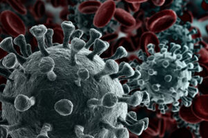WashU Expert: The architecture of virus transmission