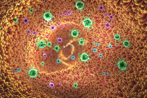 Michael S. Diamond, MD, PhD, the Herbert S. Gasser Professor of Medicine, joins David Wang, PhD, professor of molecular microbiology, to study the role of gut viruses in inflammatory bowel disease