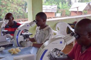 Researchers at Washington University School of Medicine in St. Louis have received $2.95 million Gates Foundation grant to develop better diagnostic tests for worm infections