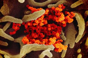 Caline Mattar, MD, assistant professor of medicine, infectious diseases helps with study of fluvoxamine; may help COVID patients avoid serious illness
