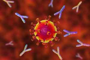 Mike Diamond, MD, PhD and colleagues lead study that could help improve design of next generation COVID-19 antibody drugs