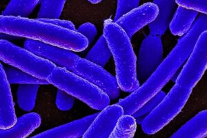 Women are treated for UTIs with wrong antibiotics nearly half the time according to lead author, Anne Mobley Butler, PhD