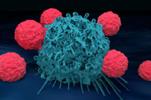 Zika virus helps destroy deadly brain cancer in mice – senior author, Mike Diamond, MD, PhD, co-first author Sharmila Nair, PhD