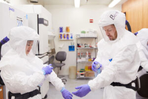 COVID-19 dual-antibody therapies effective against variants in animal study