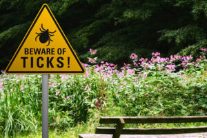 Beating the clock on ticks and tick-borne illnesses – infectious disease clinic medical director Thomas Bailey, MD, explains