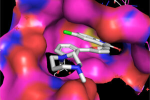 Makedonka Mitreva, PhD receives grants for the development of drugs for devastating tropical diseases