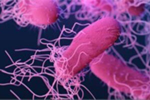 David Warren, MD and Sumanth Gandra, MD co-lead antimicrobial resistance initiative in India