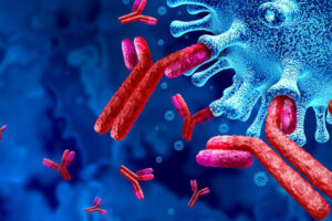 Antibodies improve in quality for months after COVID-19 vaccination