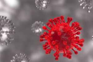 Mike Diamond and Jacco Boone help unravel omicron’s secrets