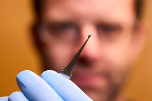 WashU Experts: How to stay safe from ticks and mosquitoes in the Midwest