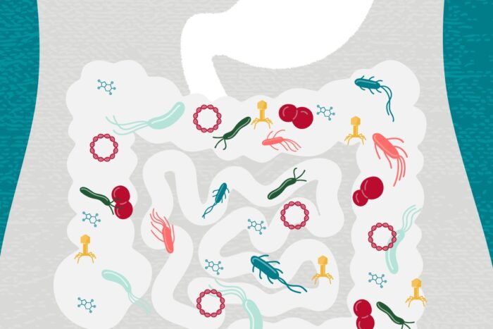 $11 million grant to investigate why resident microbes go rogue