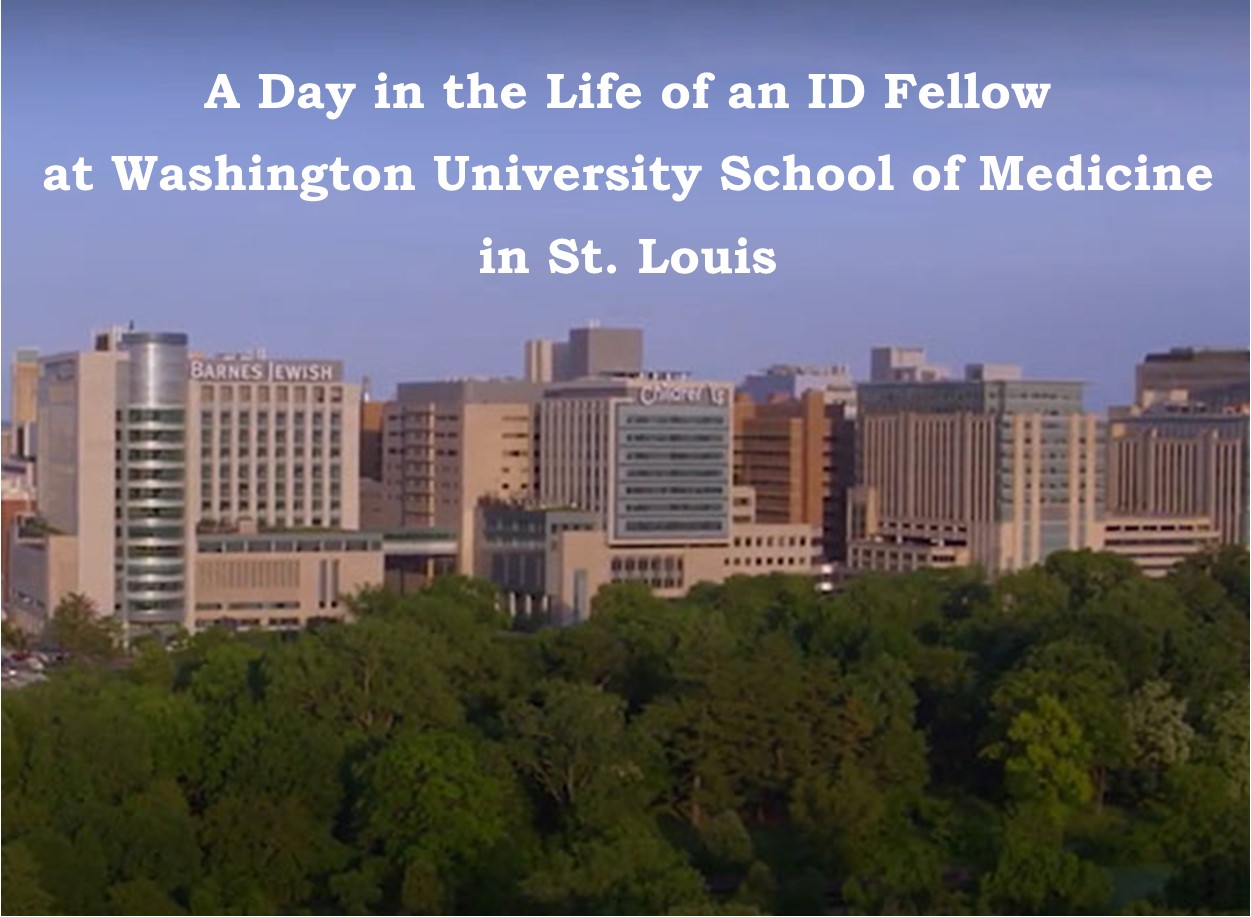 ID Fellows create video to show prospective fellow candidates what fellowship is like at WashU