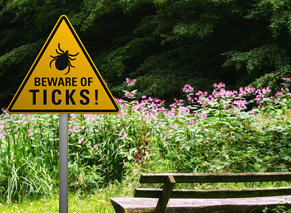 Beating the clock on ticks and tick-borne illnesses - infectious ...